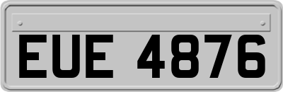 EUE4876