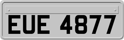 EUE4877