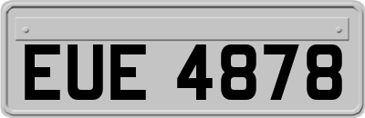 EUE4878