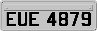 EUE4879