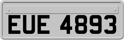EUE4893