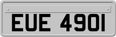 EUE4901