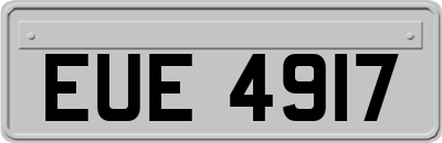 EUE4917