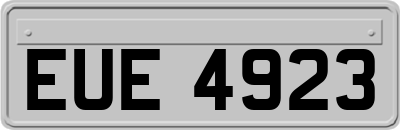 EUE4923