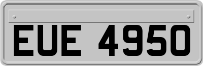 EUE4950