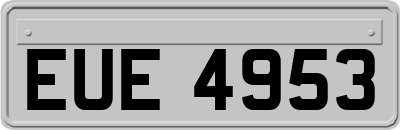 EUE4953