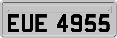 EUE4955