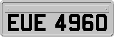 EUE4960