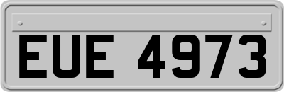 EUE4973