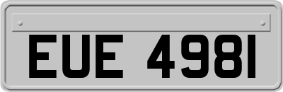EUE4981