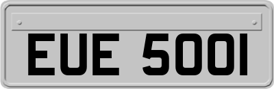 EUE5001