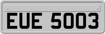 EUE5003