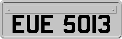 EUE5013