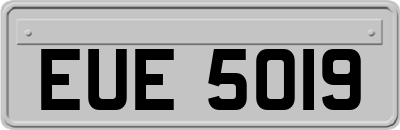 EUE5019