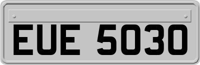 EUE5030