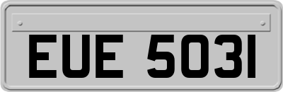 EUE5031