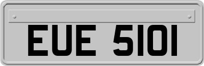 EUE5101