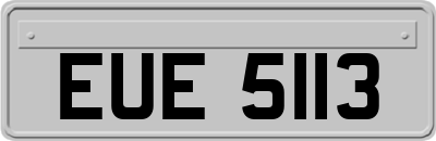 EUE5113