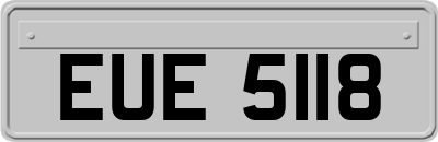 EUE5118
