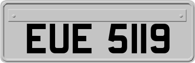 EUE5119