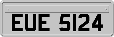 EUE5124