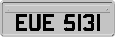 EUE5131