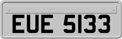 EUE5133