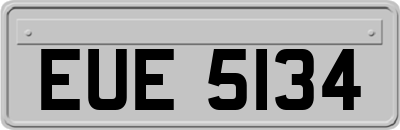EUE5134