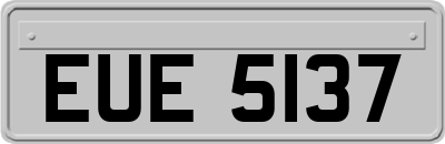 EUE5137