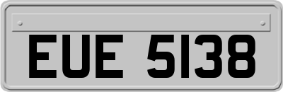 EUE5138