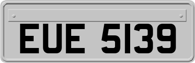 EUE5139