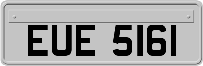 EUE5161
