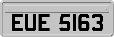 EUE5163