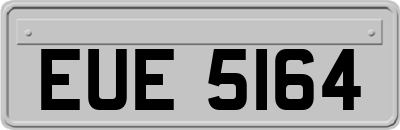 EUE5164
