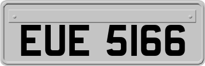 EUE5166