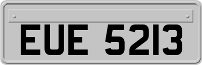 EUE5213