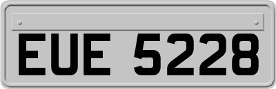 EUE5228