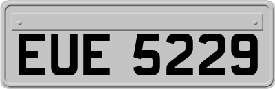 EUE5229
