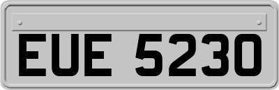 EUE5230