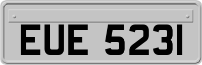 EUE5231