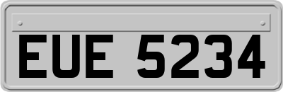 EUE5234