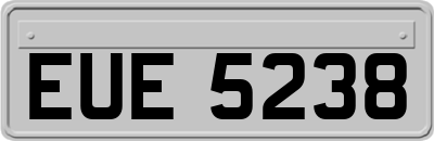 EUE5238
