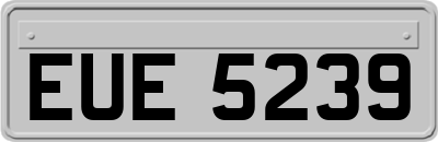 EUE5239