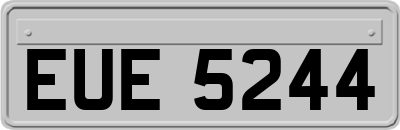 EUE5244