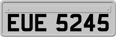EUE5245