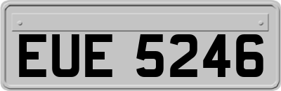 EUE5246