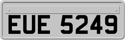 EUE5249
