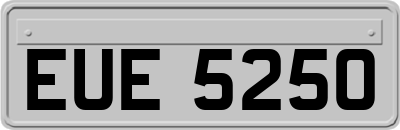 EUE5250