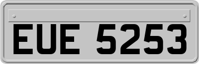EUE5253