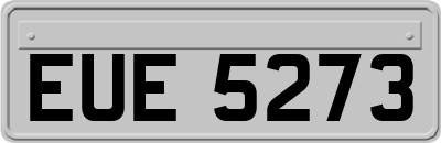 EUE5273